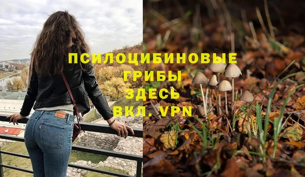 гидропоника Елабуга